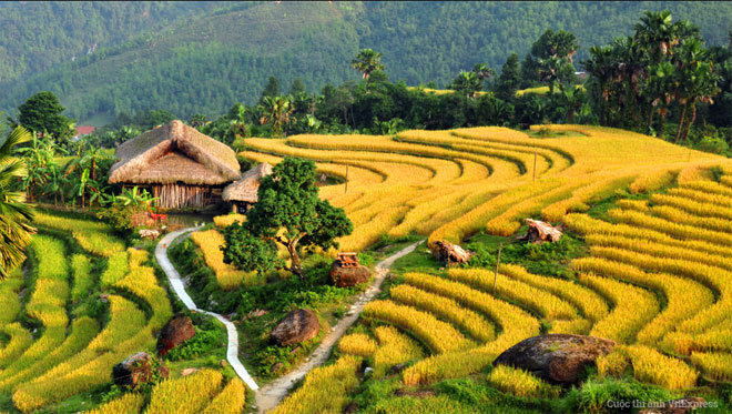 Kim Bôi Hoà Bình