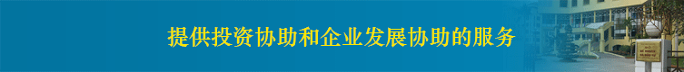 O giua trang chu